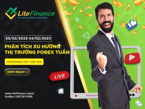 Phan Tich Xu Huong Thi Truong Forex 2002 2402