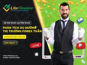 Thi Truong Forex