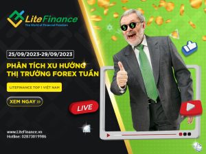 Thi Truong Forex