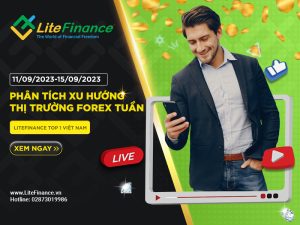 Thi Truong Forex