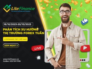 Thi Truong Forex