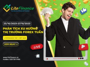 Thi Truong Forex