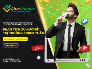 Thi Truong Forex