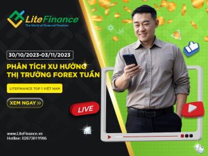 Thi Truong Forex