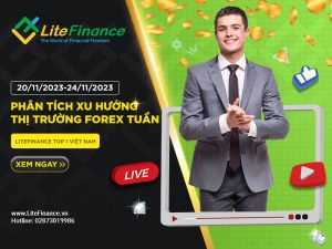 Thi Truong Forex