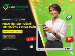 Thi Truong Forex