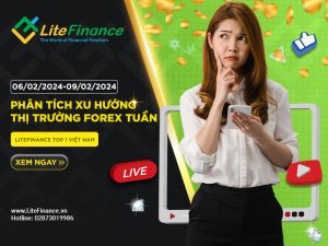 Thi Truong Forex