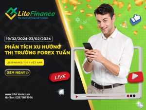 Thi Truong Forex