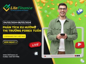 Thi Truong Forex