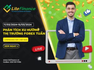 Thi Truong Forex