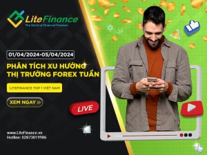 Thi Truong Forex